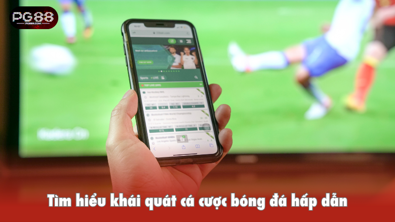 Tìm hiểu khái quát cá cược bóng đá hấp dẫn