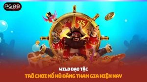Wild Đạo Tặc
