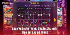 cách xem cầu tài xỉu