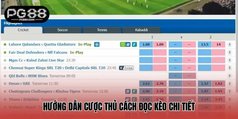 Hướng dẫn cược thủ cách đọc kèo chi tiết