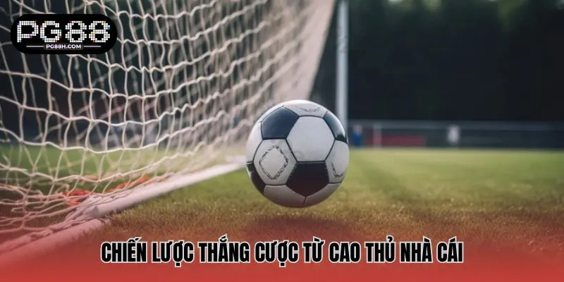 Chiến lược thắng cược từ cao thủ nhà cái