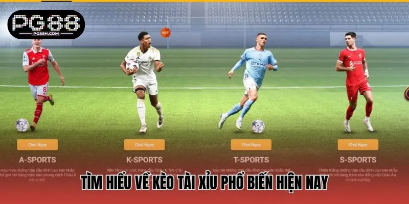 Tìm hiểu về kèo tài xỉu phổ biến hiện nay