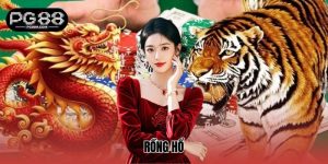 Rồng Hổ PG88 – Luật Chơi Và Cách Cược Thông Minh Nhất