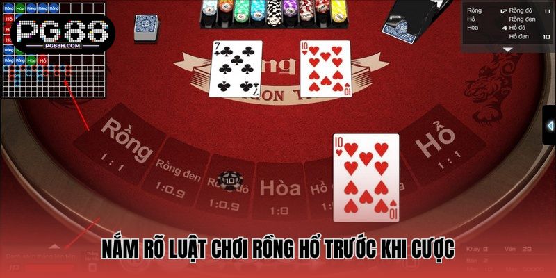Nắm rõ luật chơi Rồng hổ trước khi cược