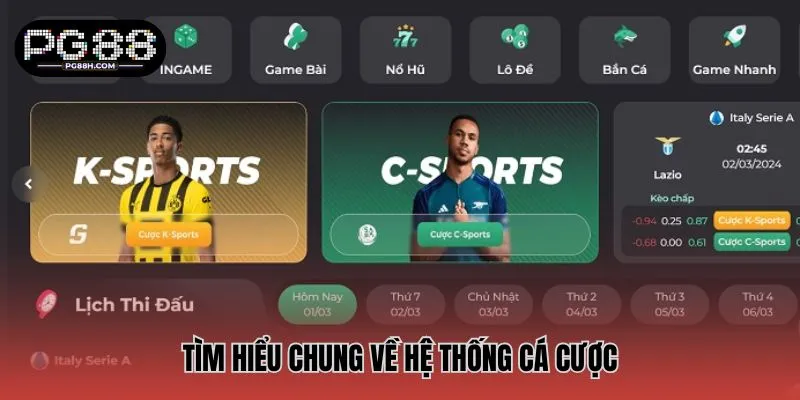 Tìm hiểu chung về hệ thống cá cược