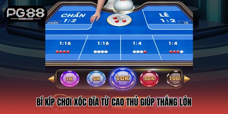 Bí kíp chơi xóc đĩa từ cao thủ giúp thắng lớn